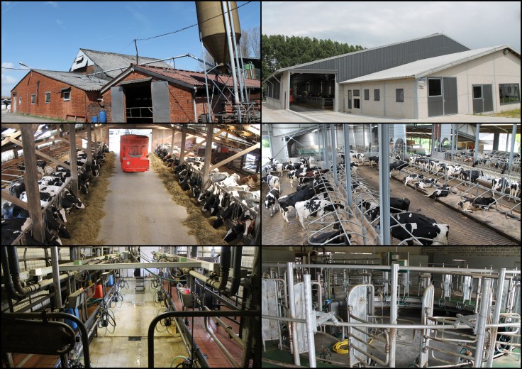 Oude versus nieuwe stal