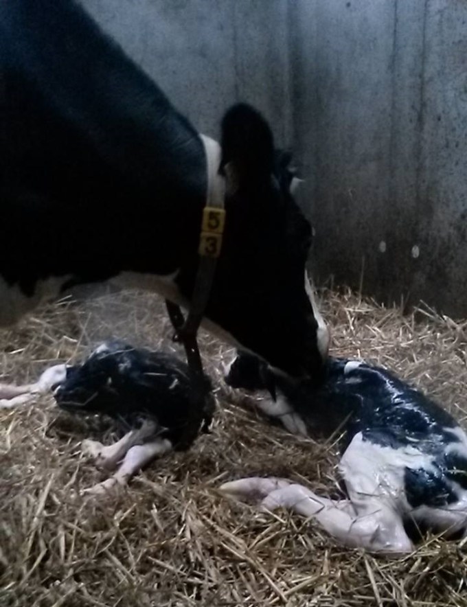 mickaela-heeft-een-tweeling