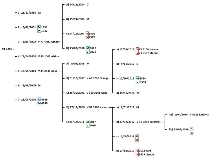 tweelingfamilie-91-1200-tot-2016