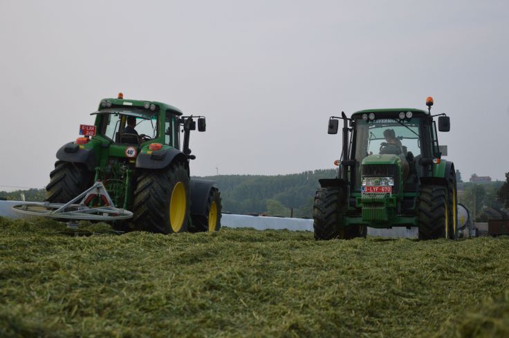 32247451_1610934239026168_8087413037432045568_n