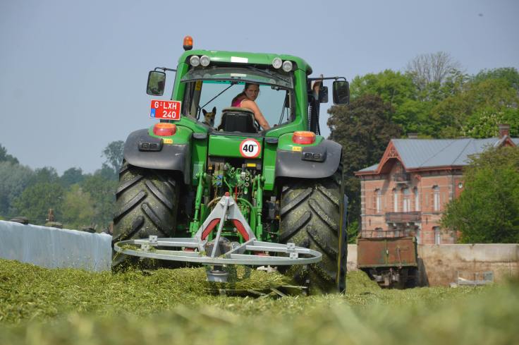 32253781_1610877309031861_5257242220313968640_n