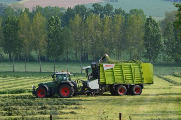 32267077_10216708682011787_4553351682418802688_o