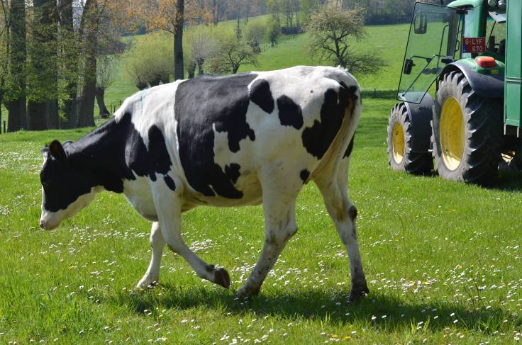 57044177_637645290019843_2174247002265616384_n