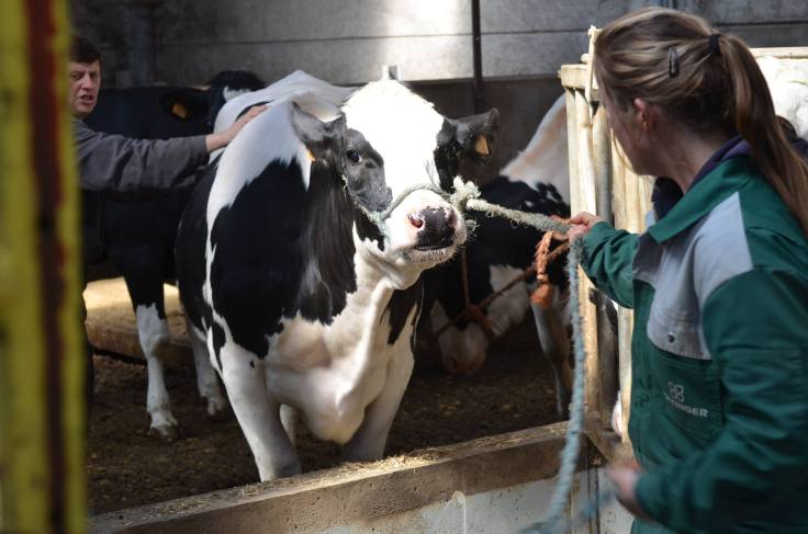 57104081_2510979912247884_6031915743392563200_n