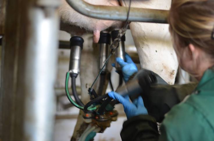 57449520_165473664408187_9107656070188236800_n