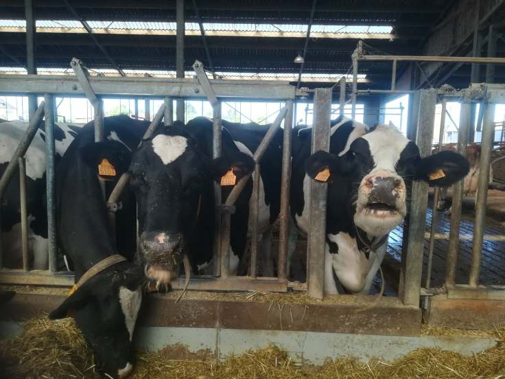 70904268_900059403706351_6813763034381549568_n