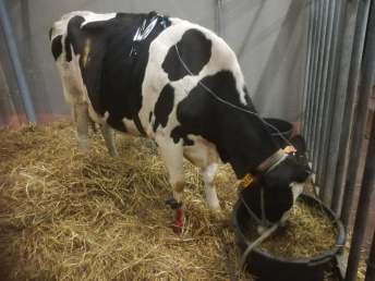 70949170_400176084229428_4086007537797693440_n