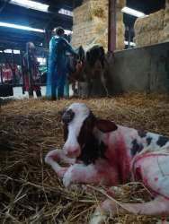 74638432_796808587421477_49782029625065472_n